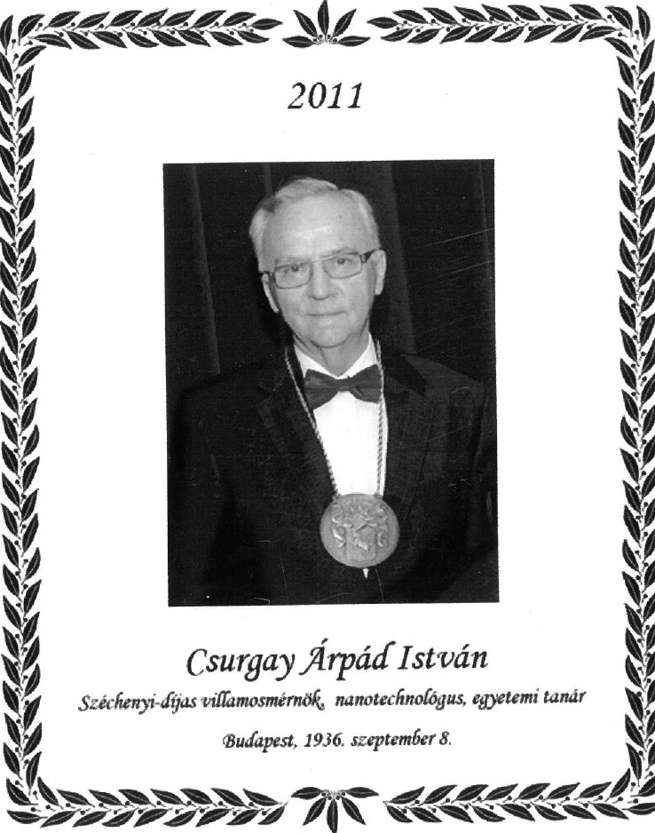 2011 Csurgay Arpad