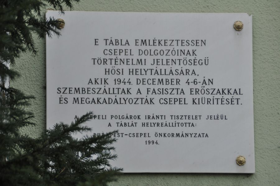 koszoruzas3