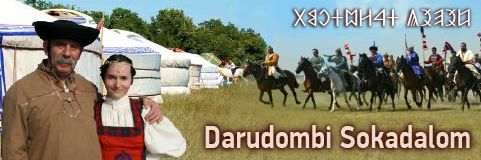 darudombi_sokadalom
